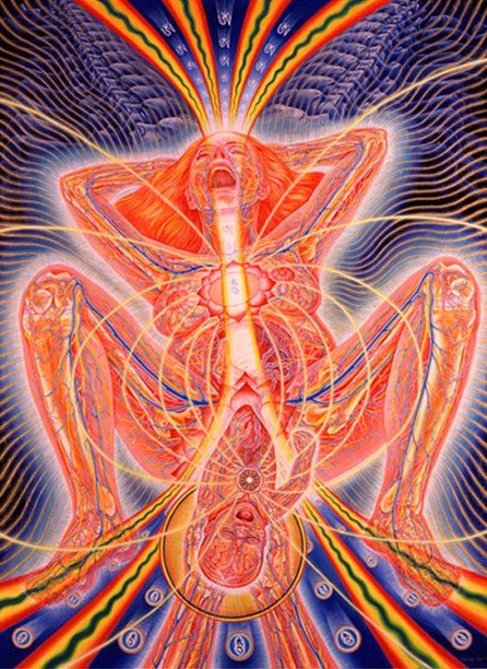 [birth-alex-grey.jpeg]