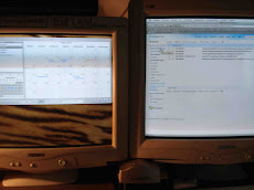 APARICION DEL ESPEJO