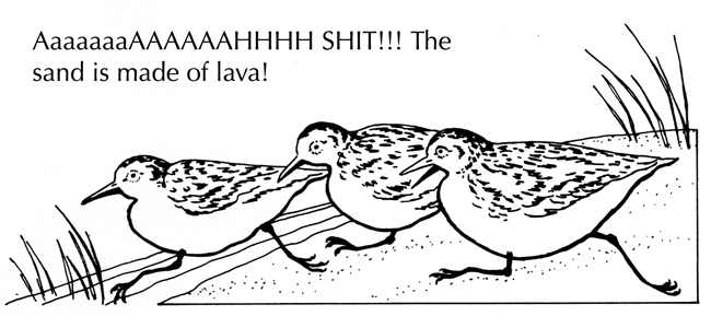 [sand-is-made-of-lava.gif]