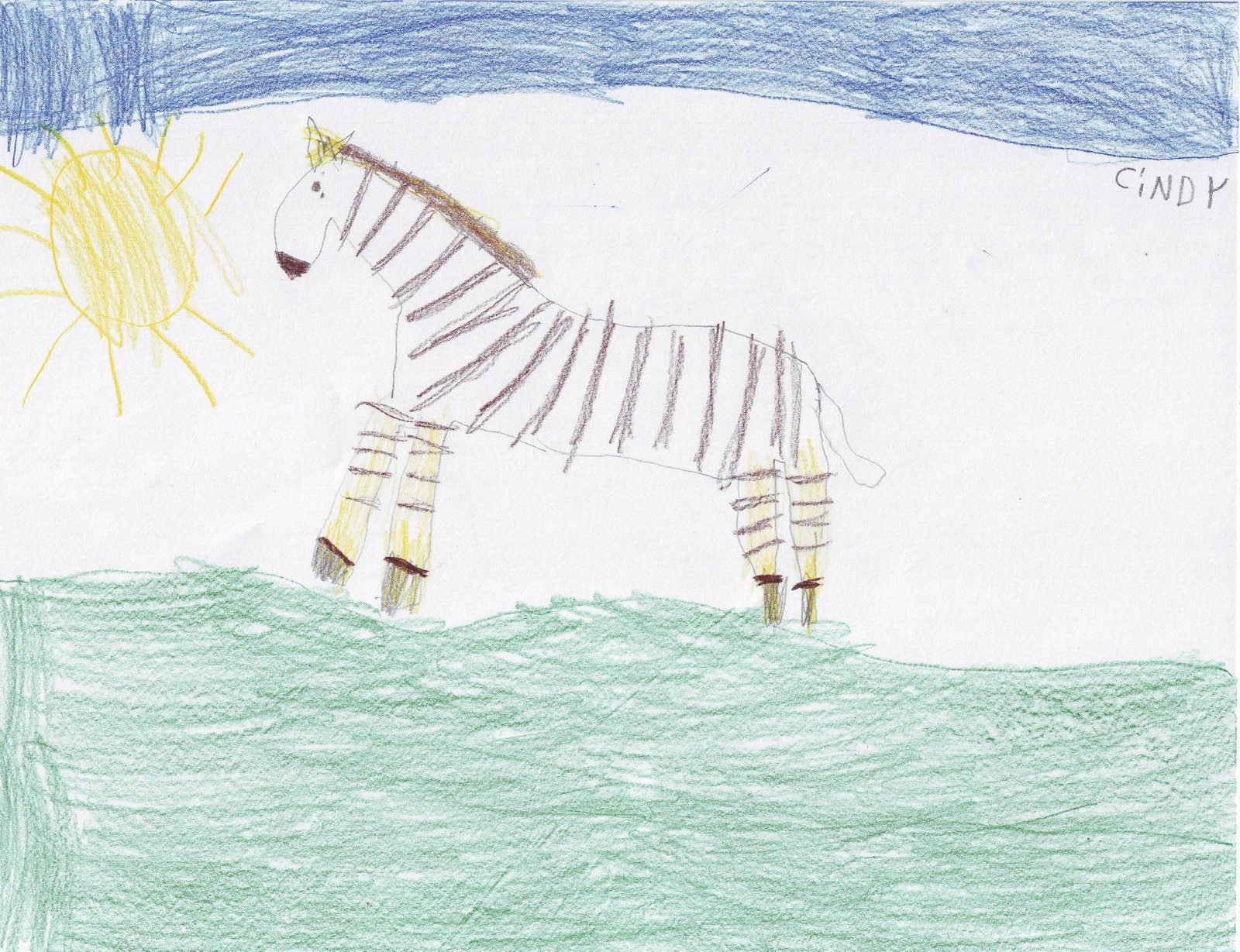 [cindyzebra.JPG]