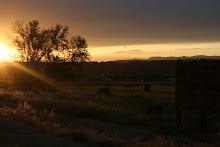 Some pretty pictures