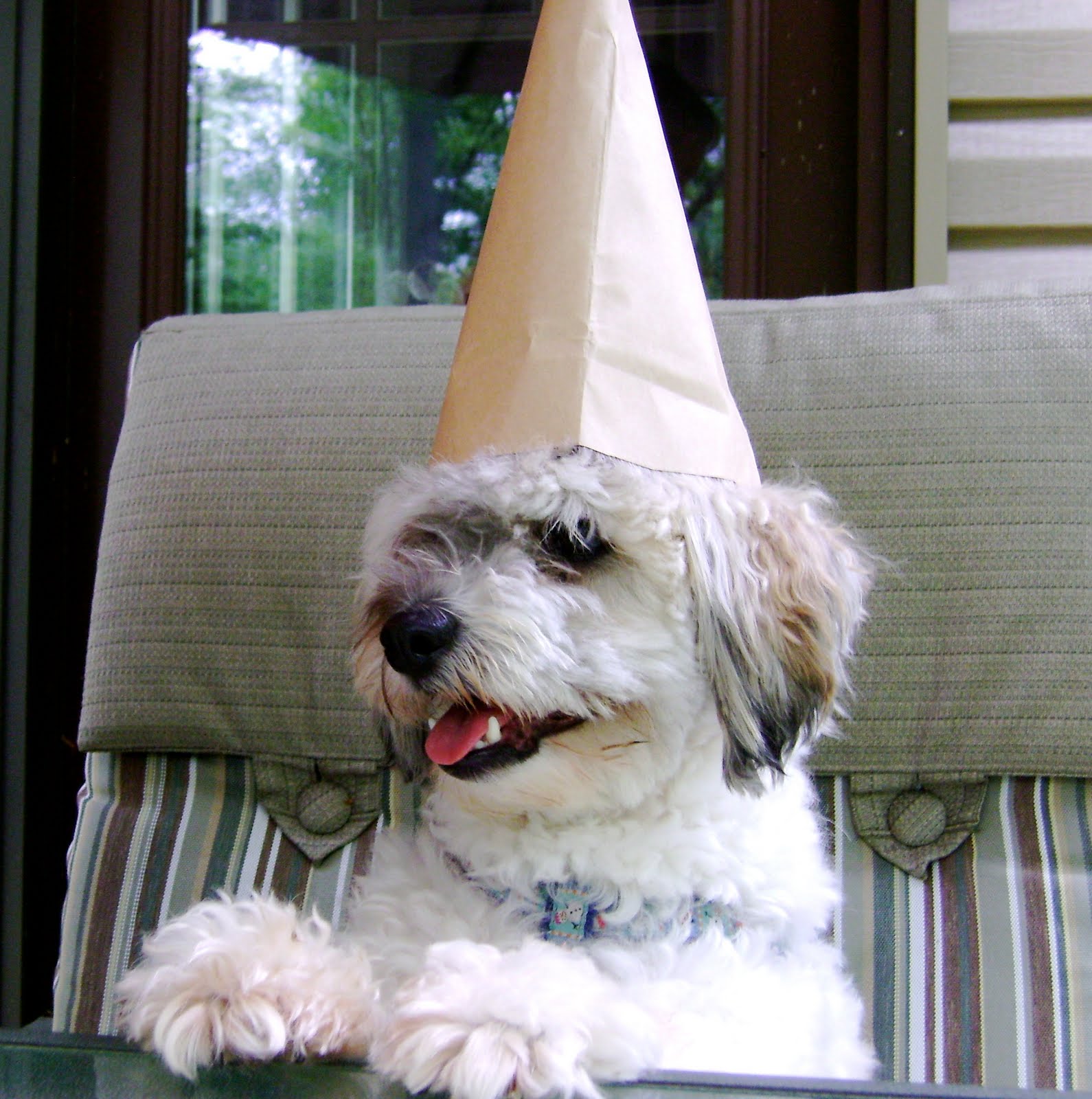 When will we use this? Conic Sections