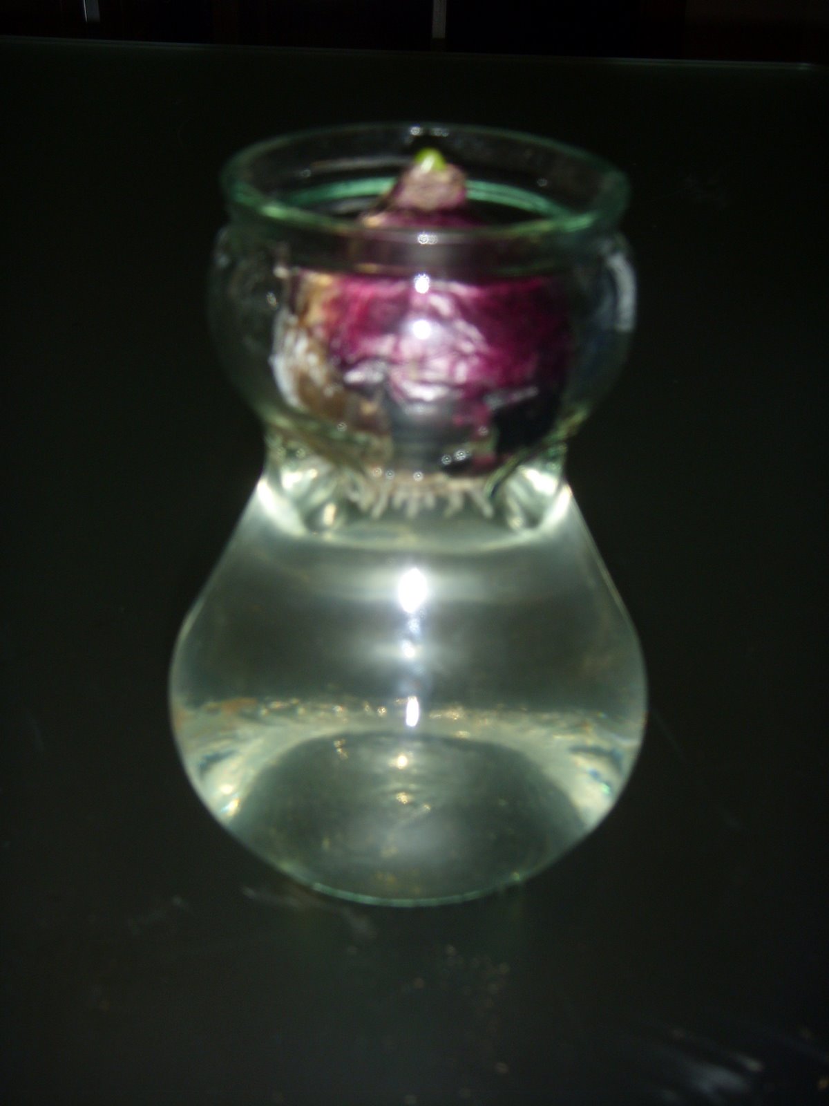 [ST831162.JPG]