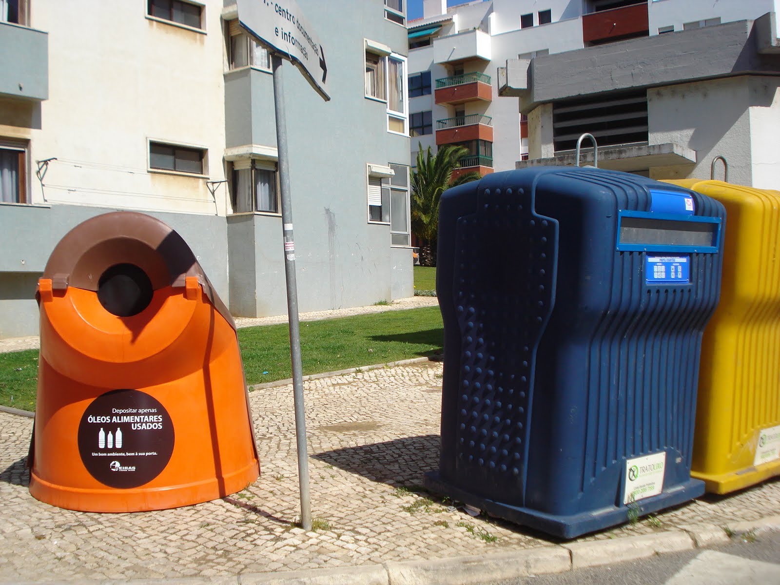 [ORS1(figueirinha1).JPG]