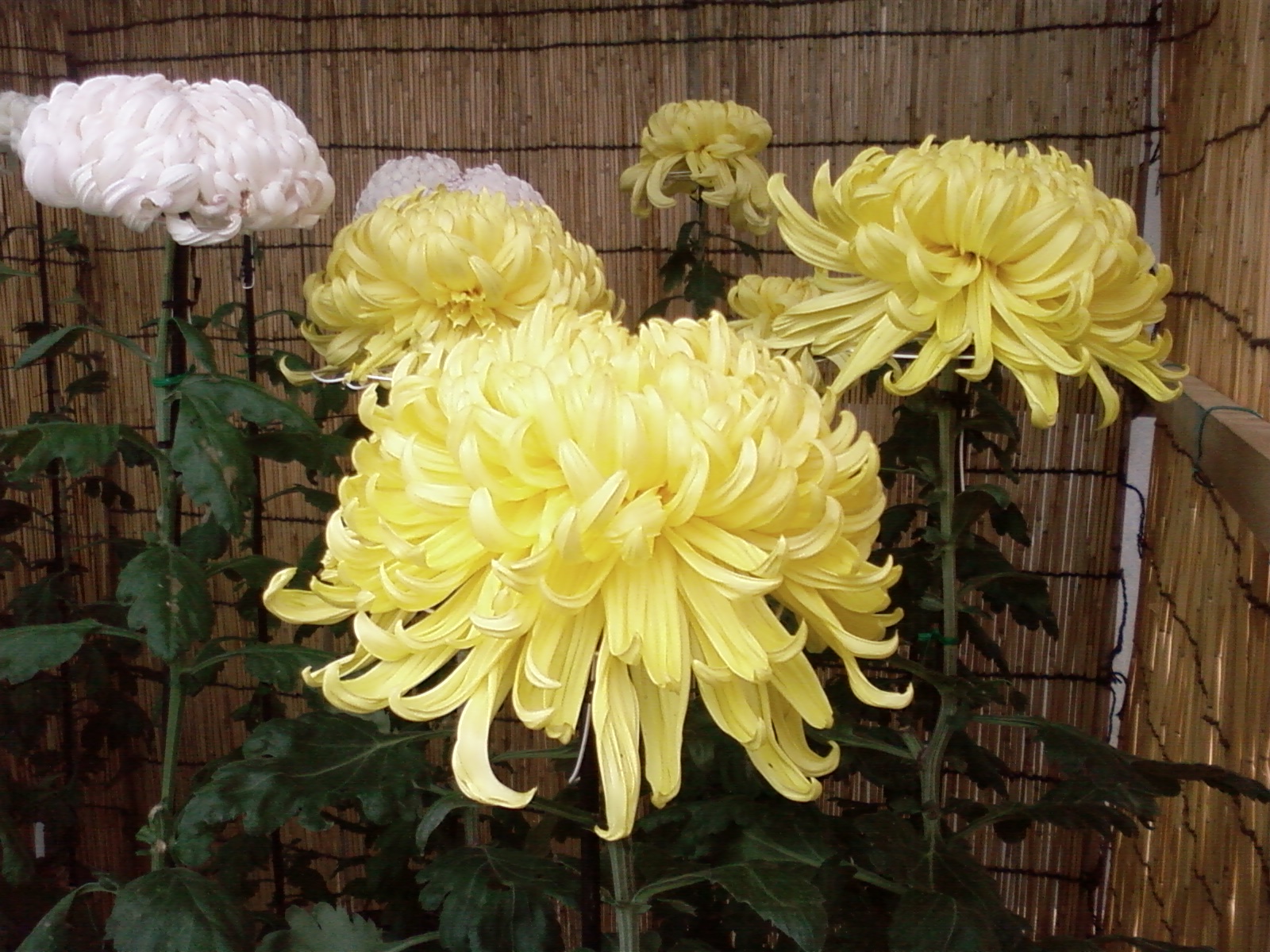 [Photo-0050.jpg]