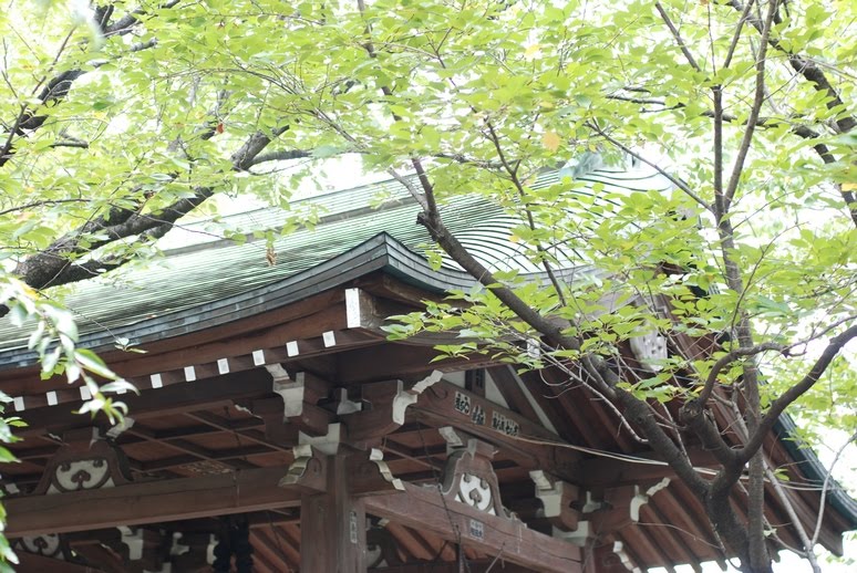 [blog_0151.jpg]