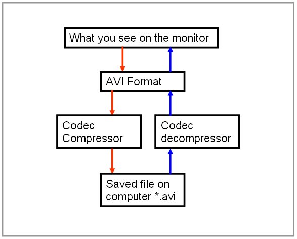 [Compressor+Codec.bmp]