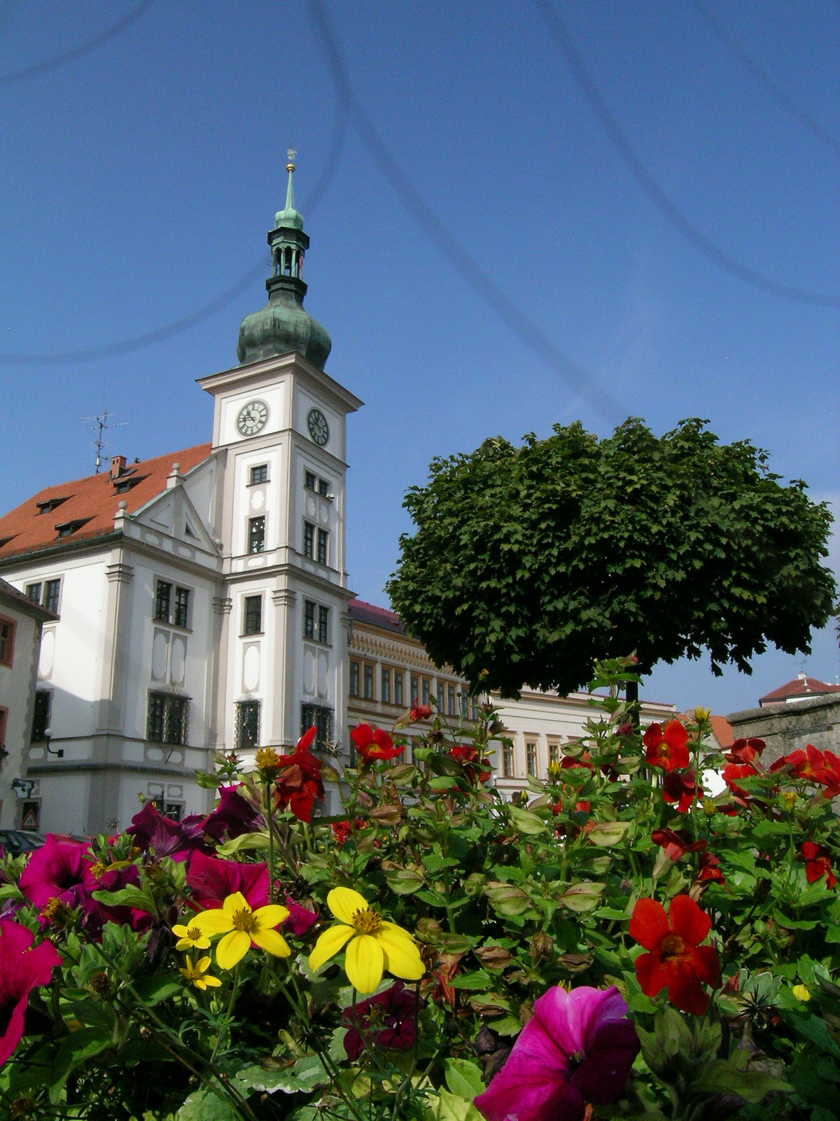 [DSCN4150.JPG]