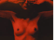 [pubblicazionerisultati2009.jpg]