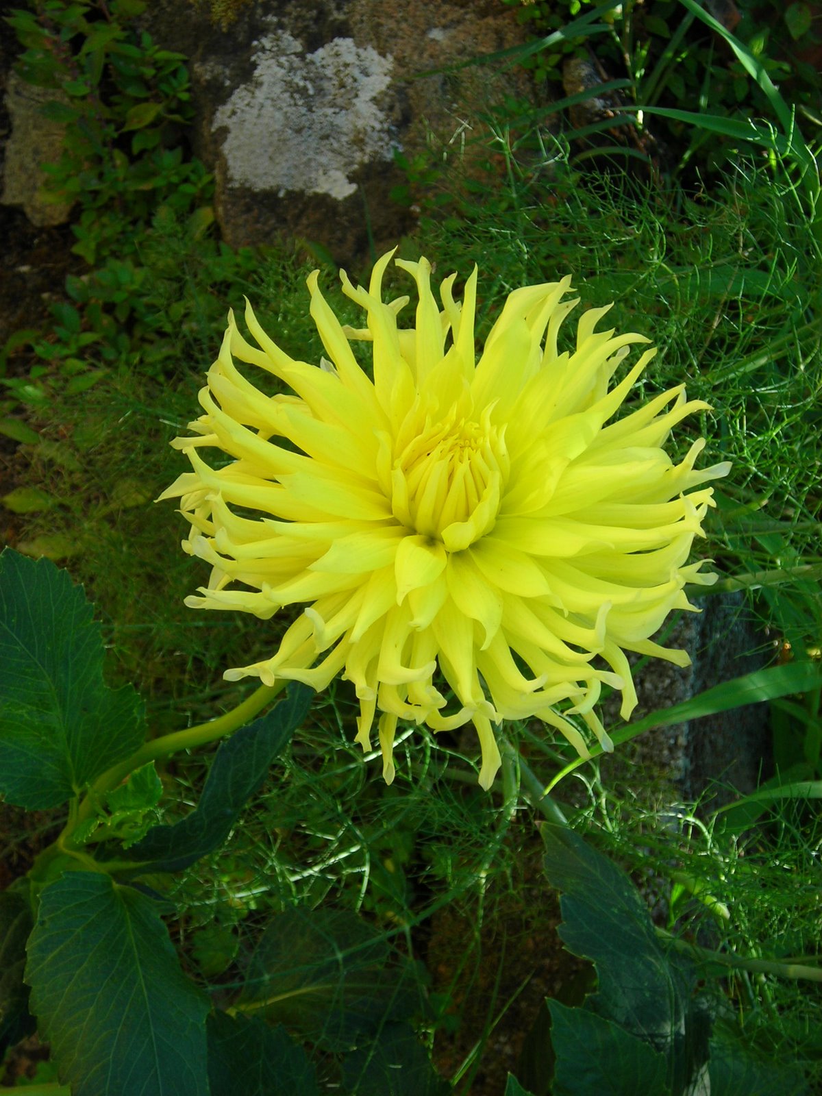 [DSCN4426.JPG]
