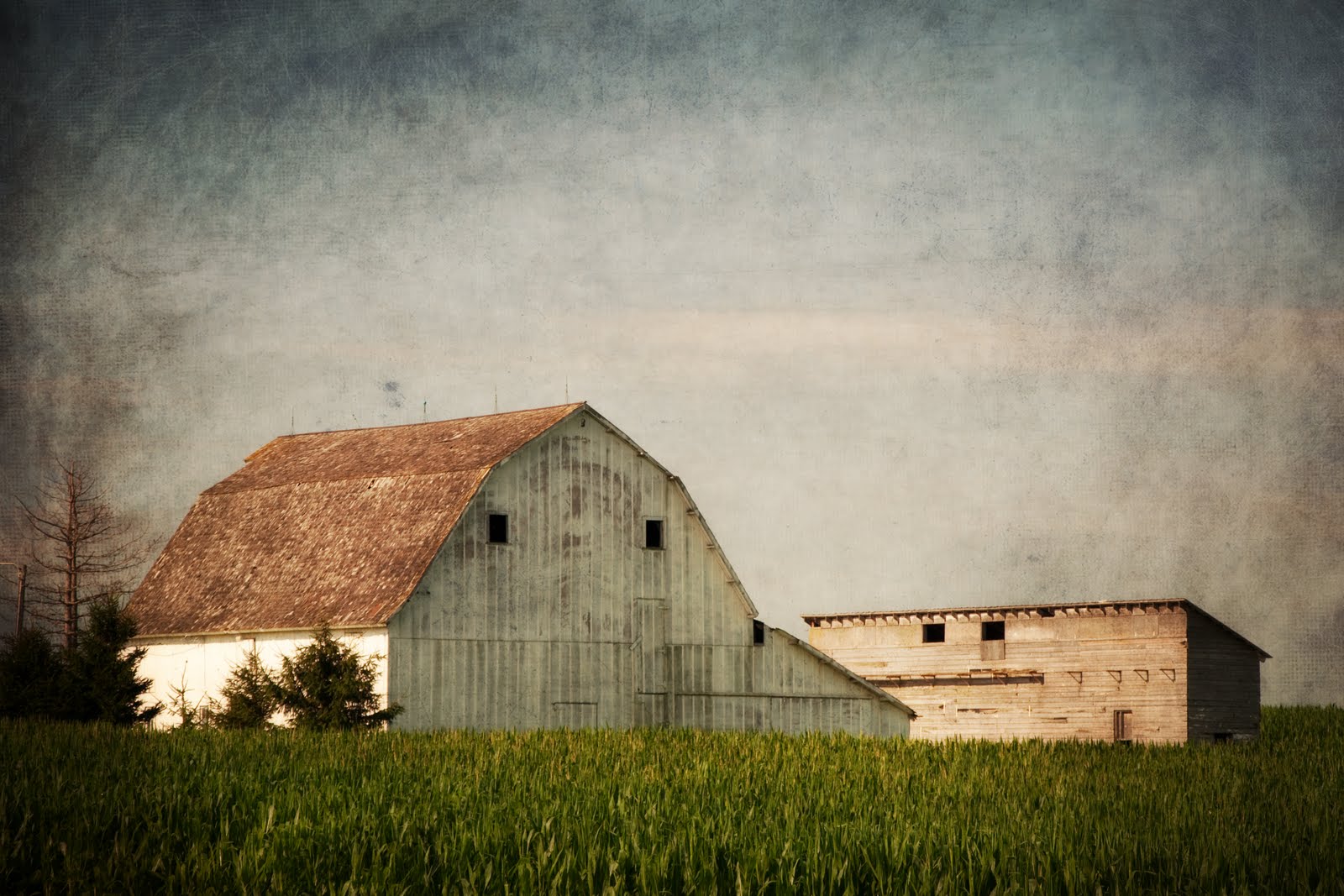 [DSC_4859-12x18.jpg]