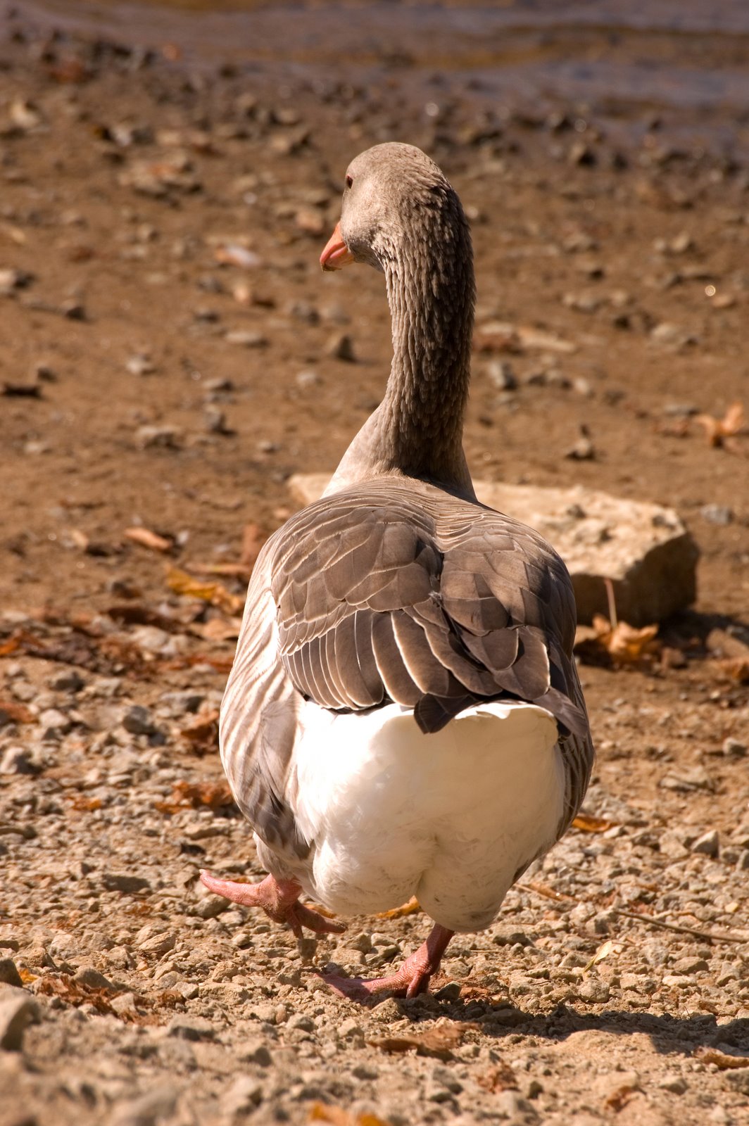 [DSC_3346.jpg]