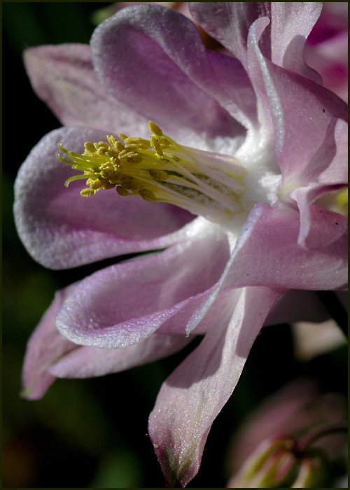 [DSC_5309.jpg]