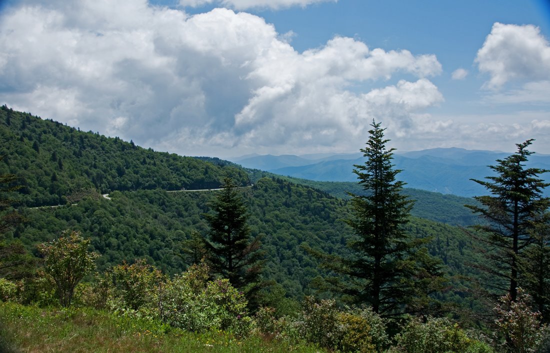 [DSC_3337-2.jpg]