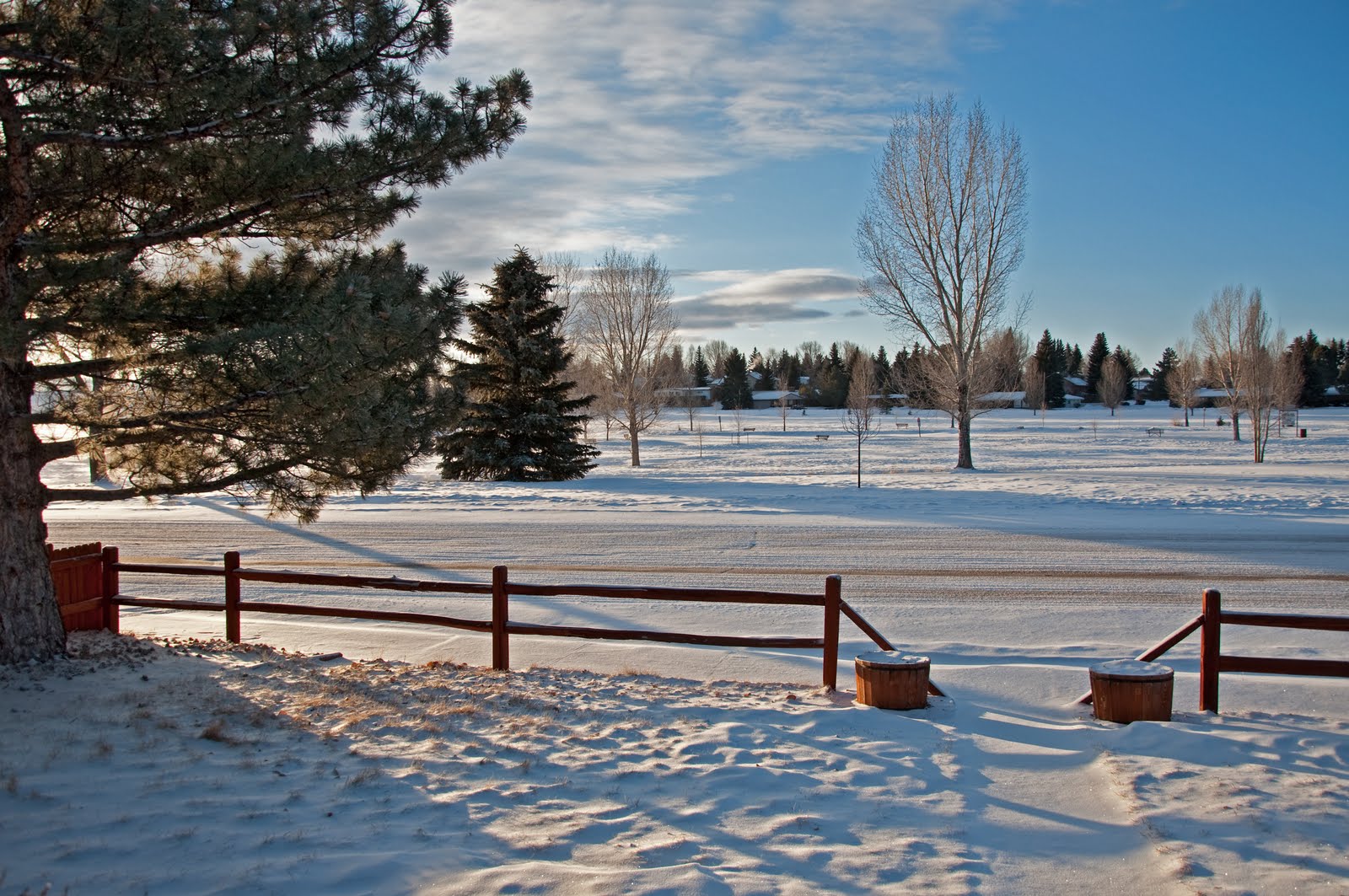 [DSC_8917_for_web.jpg]