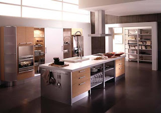 Kitchen Cabinets Designs for Professional Chef