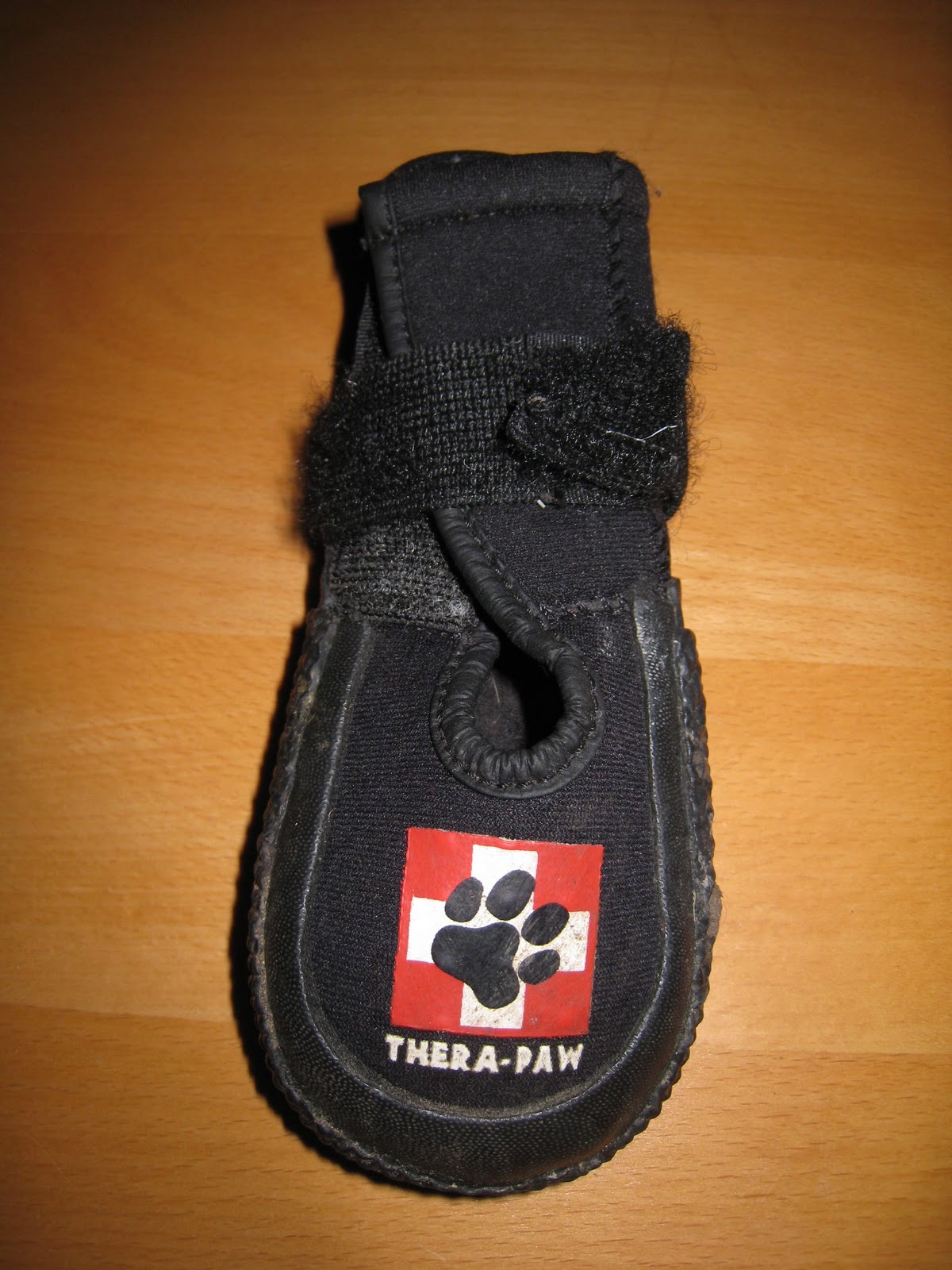 What Dogs Do Greyhound First Aid Kit