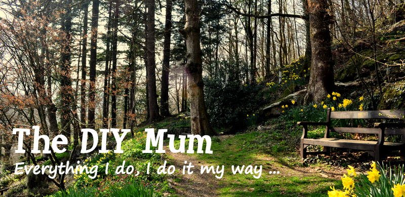 The DIY Mum