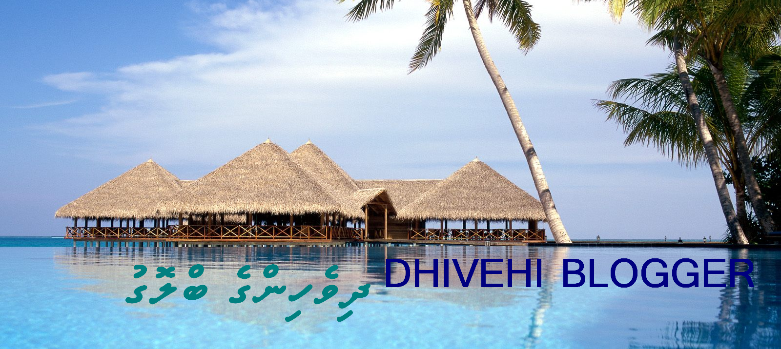 Dhivehi blogger  އަމިއްލައަށް ބޮލޮގެއްހައްދަވާ
