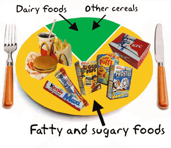 Healthy+diet+food+plate