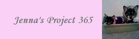 Jenna's Project 365!