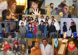 Tus Profesores a Domicilio