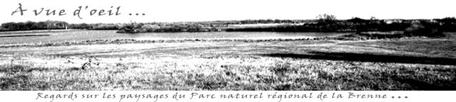 A vue d'oeil : regards sur les paysages du PNRB
