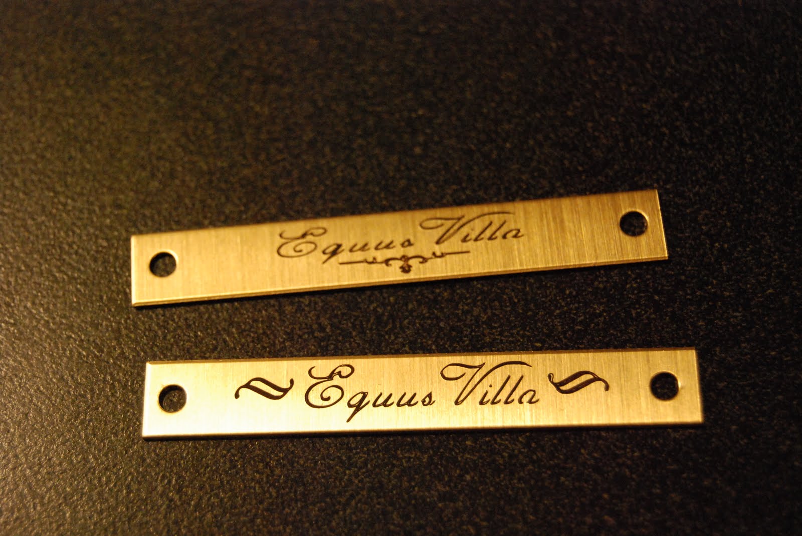 Riding Aside Saddle and Bridle Name Plates