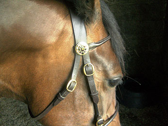 Bridle Rosettes