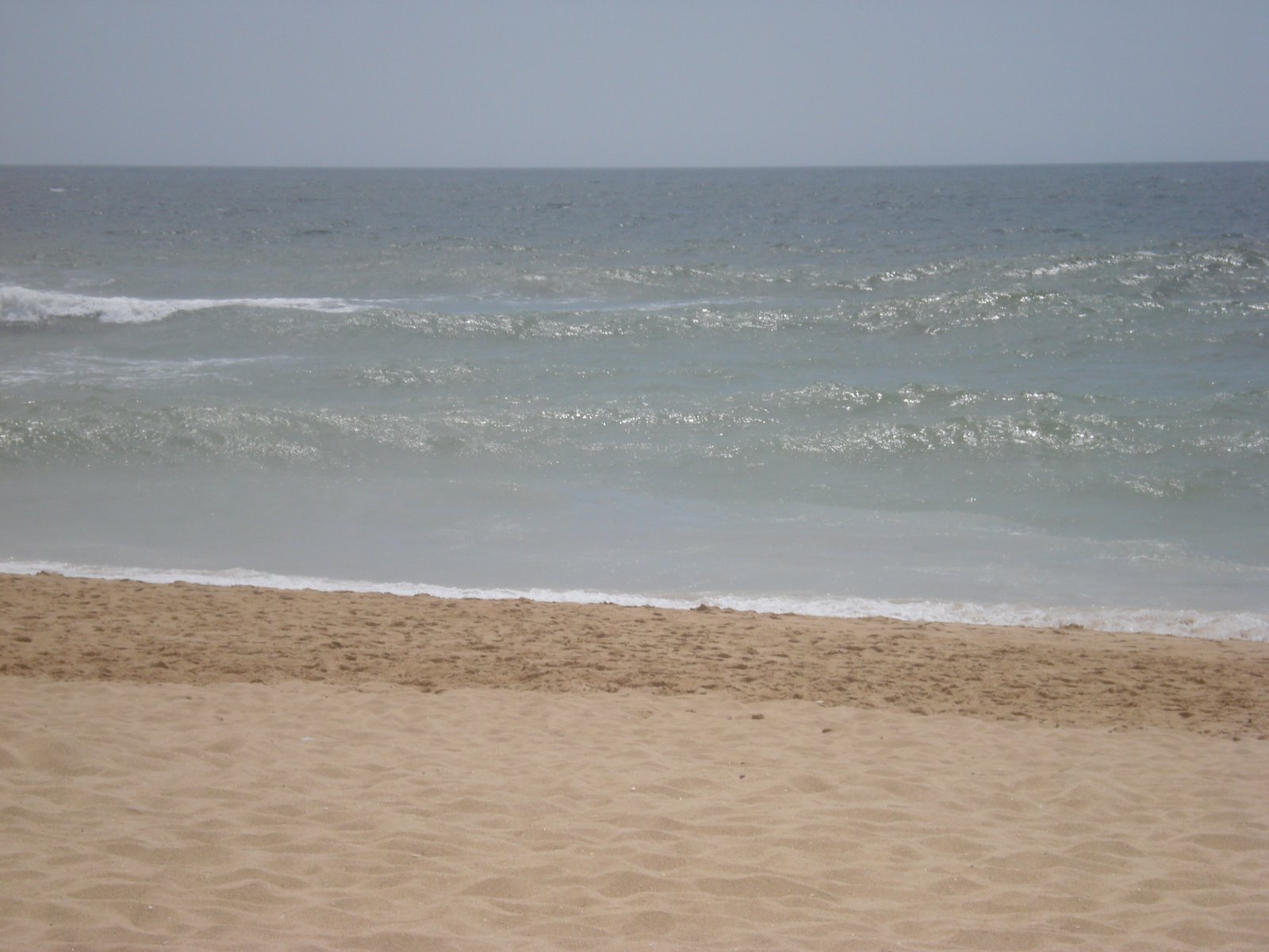 [DSC03720.JPG]