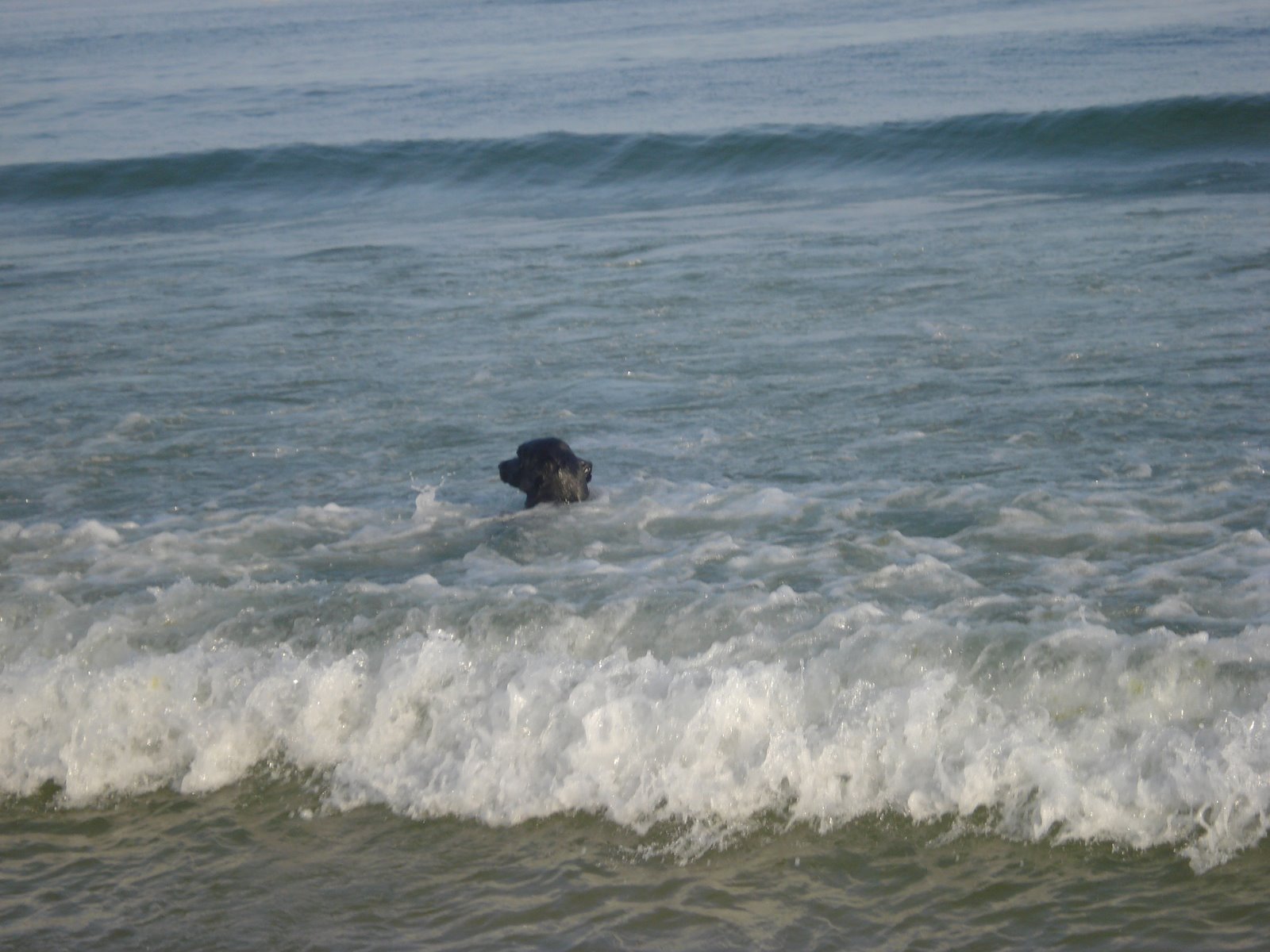[DSC03828.JPG]