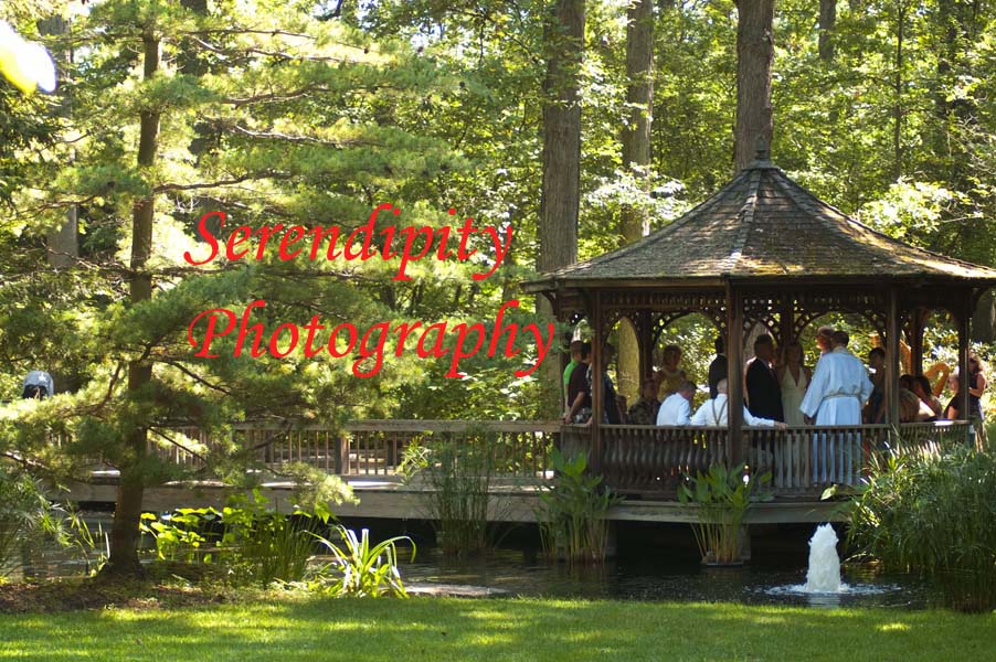 Serendipitous Moments Toledo Botanical Garden Wedding Ceremony