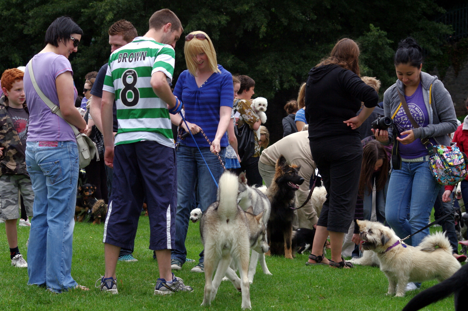 Happy Dog Sunday Photos Limerick Animal Welfare
