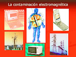 * TIENDA VIRTUAL