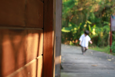 親子的關渡自然公園，西南賞鳥廣場賞鳥牆