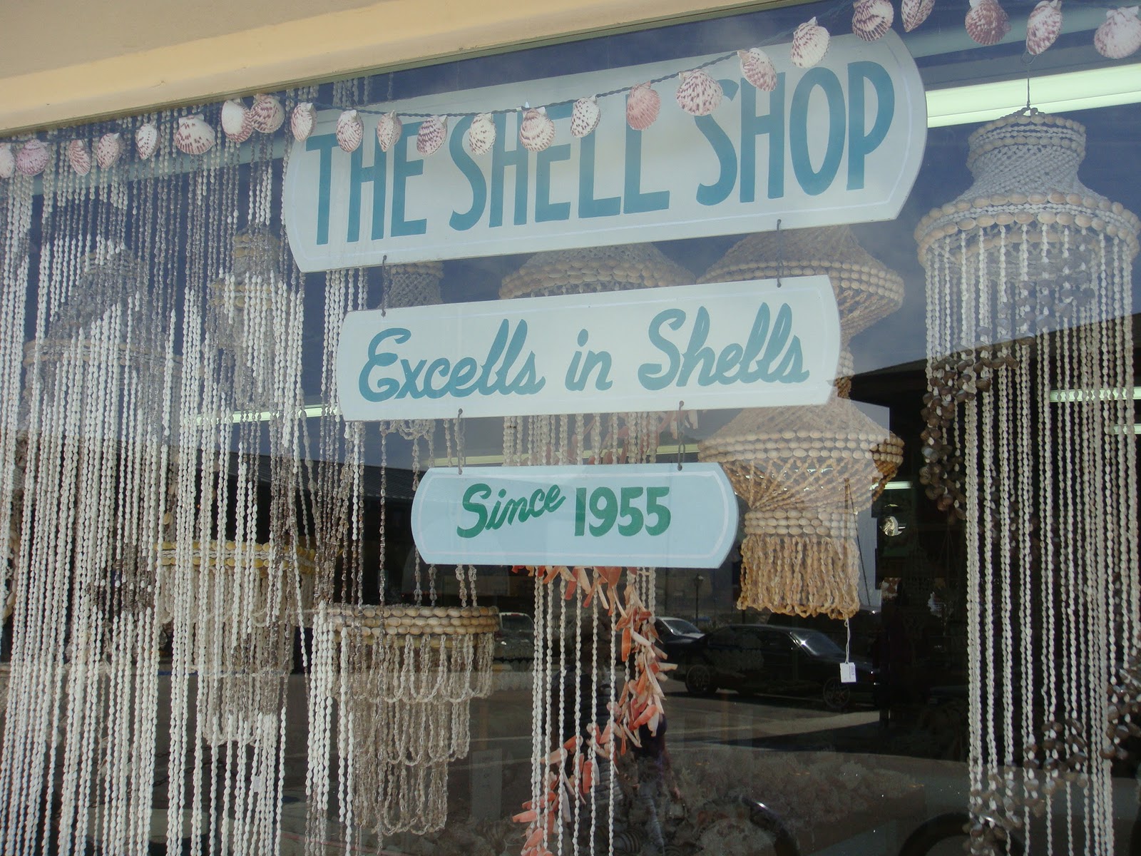 The Shell Shop in Morro Bay sealaura