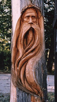 carving wood carve woods tree carved carvings wooden stump spirit sculpture sculptures trunk spirits face carvers trees woodworking beard bear
