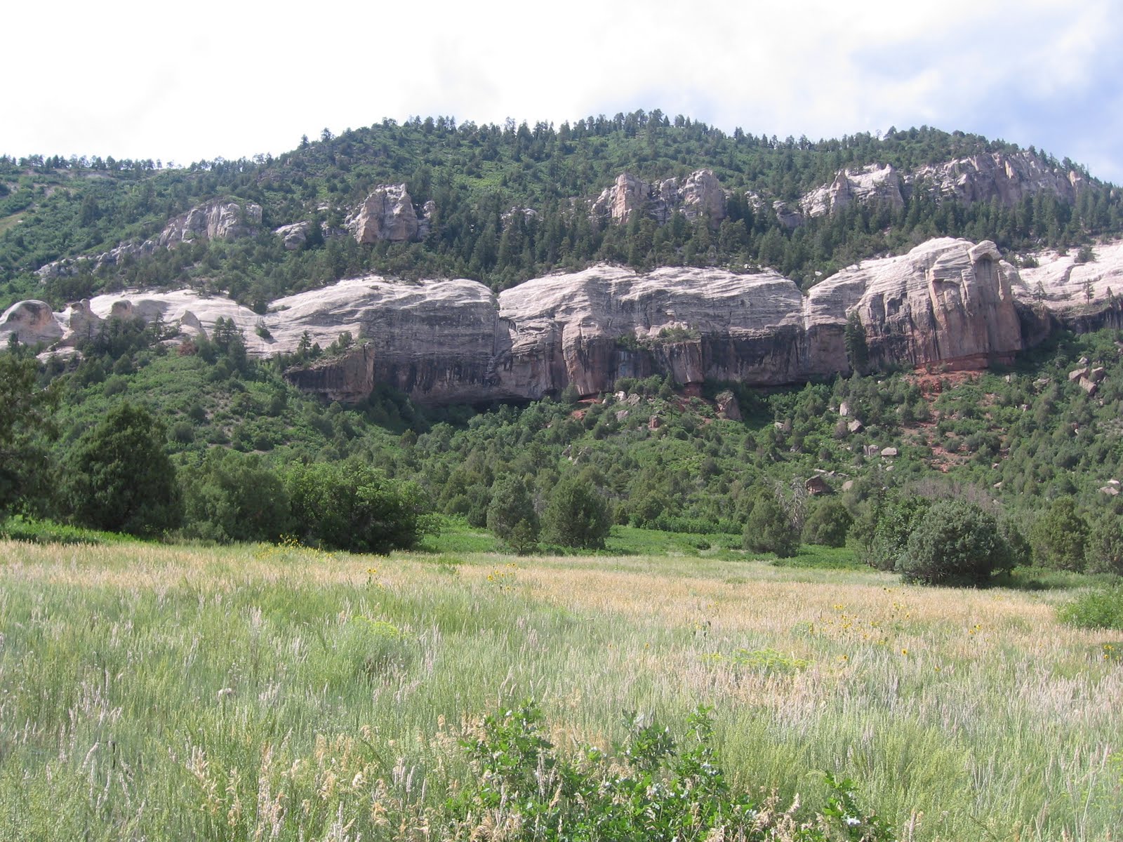 Four Corners HikesDolores River Valley Colorado Animas Overlook Trail