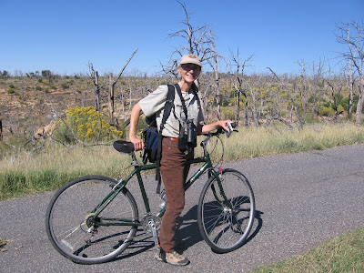 Wetherill Mesa Tram Trail