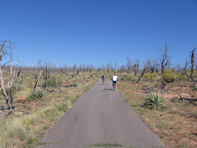 Wetherill Mesa Tram Trail