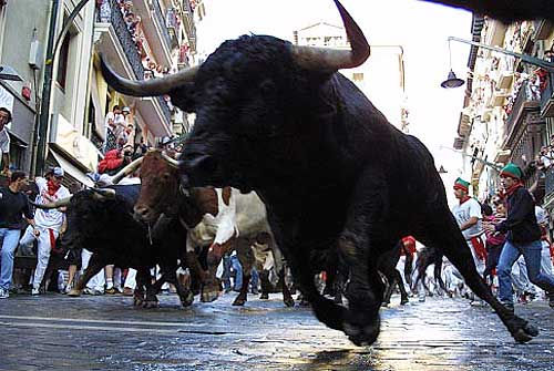 Matar un toro en una plaza vs