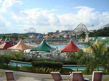 Wet'n Wild - SP