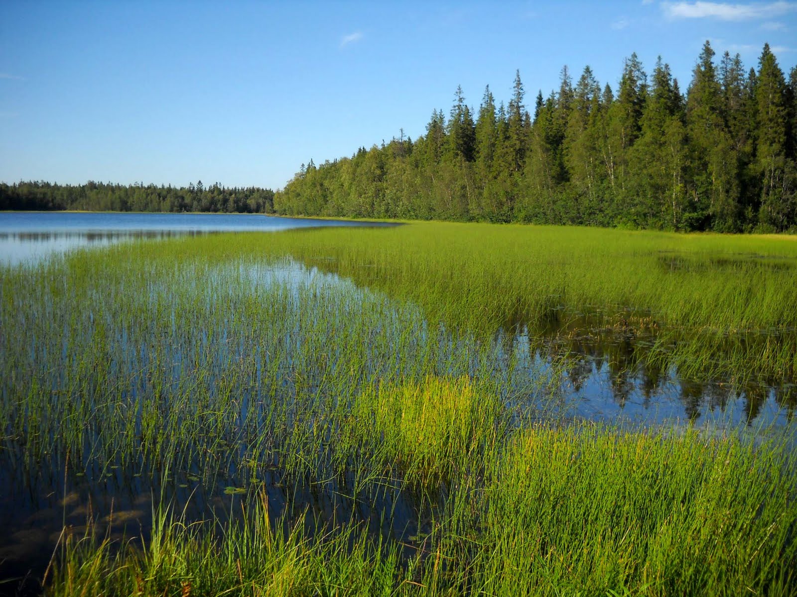 My Nature Photography The Grassy Lake