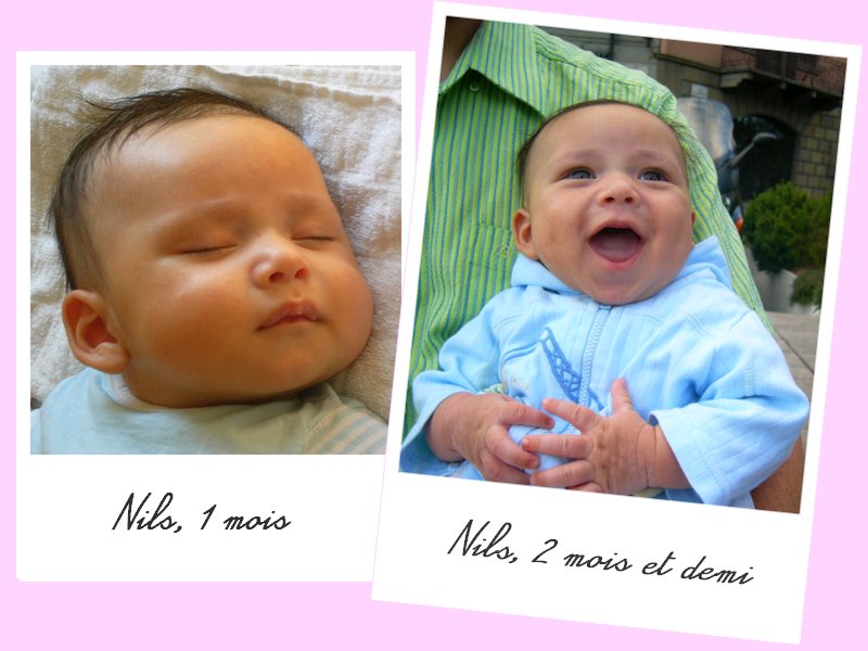 [nils.bmp]