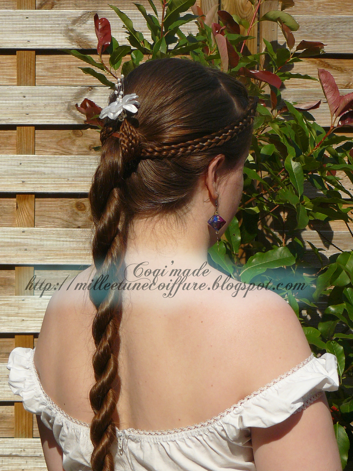 coiffure tresse deux brins