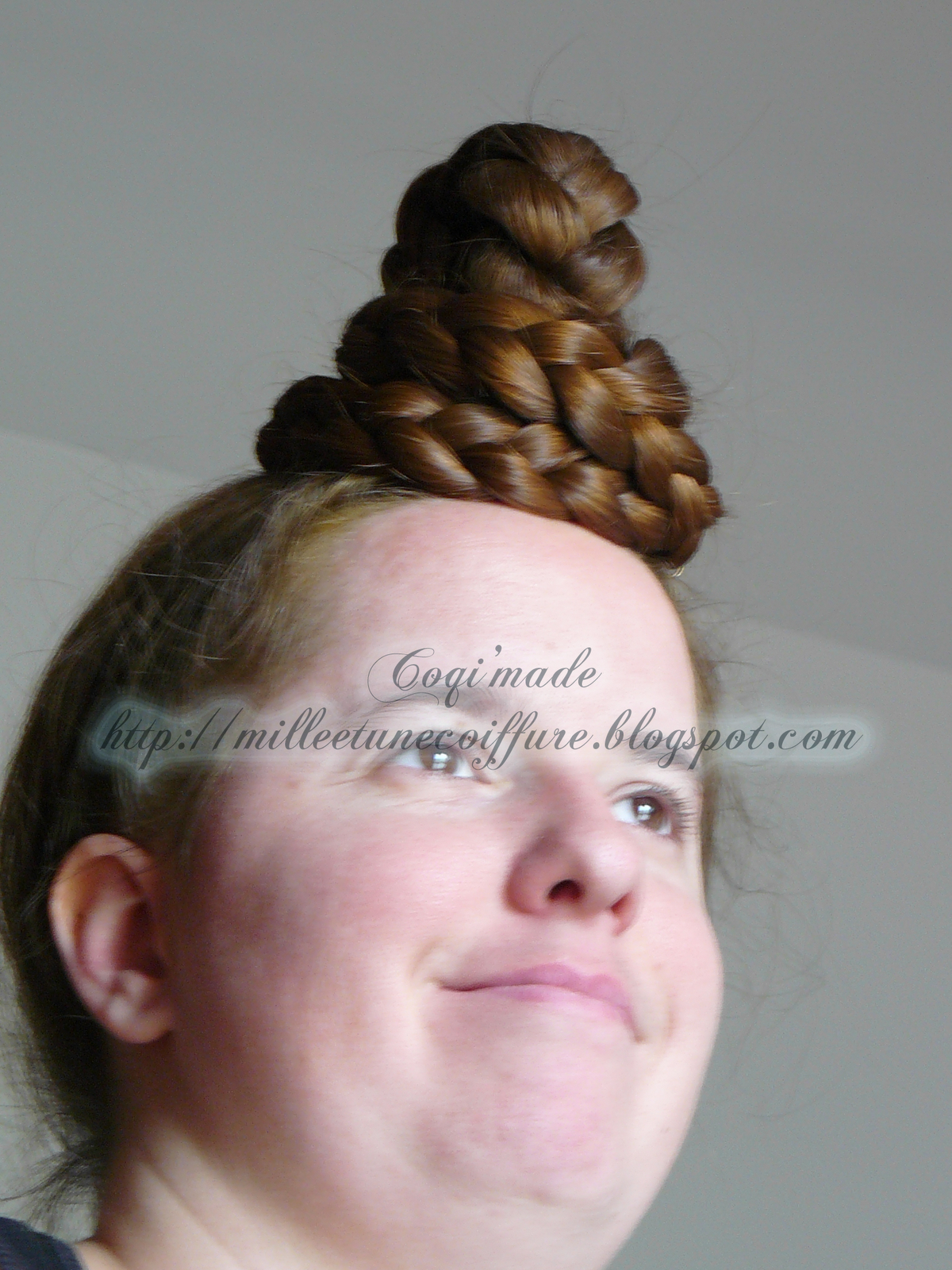 Coiffures Tresses Cheveux Mi Longs