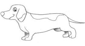 Desenhos para Colorir: Desenho de cachorro salsicha, dog, cachorro para  colorir.