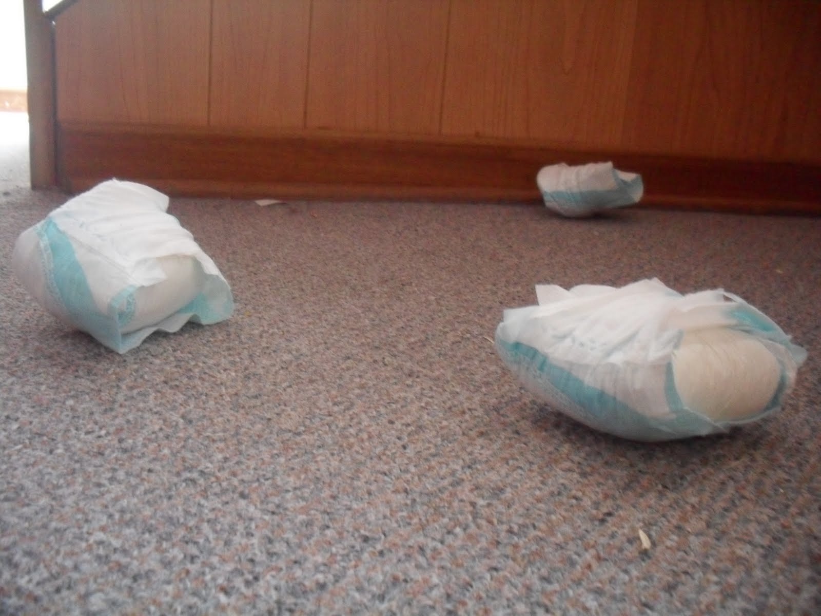 My life as a real person Melissa Reyenga