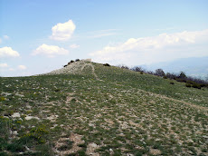 Site d\