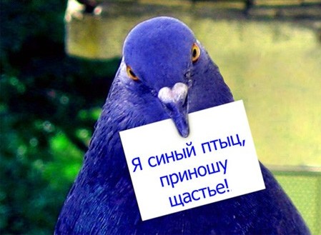 И радость, и счастье. - Страница 5 Df8c1c6d8a26